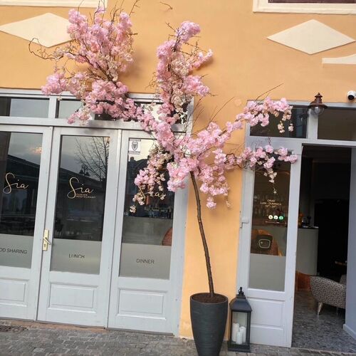 Aparhotel Sia Boutique Sibiu