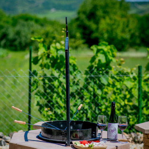 Hátsó udvar, panoráma, sütögetés