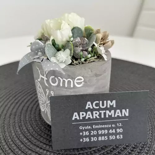 Acum Apartman Gyula 021 kép