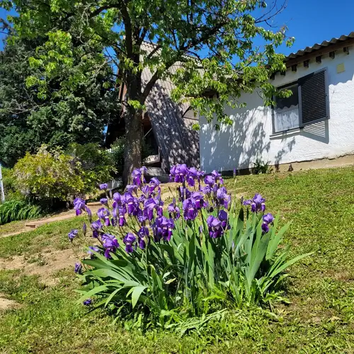 ApróLak Apartman Zalakaros 003 kép