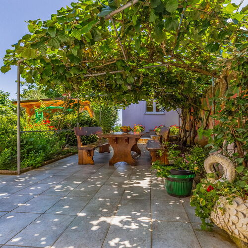 Apartman Ližnjan - CIZ461  4