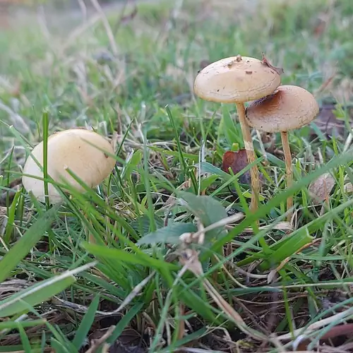 Trófeás Vendégház Kelemér 016 kép