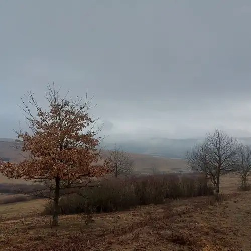 Trófeás Vendégház Kelemér 024 kép