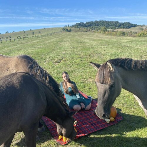 Keleméri Trófeás Vendégház