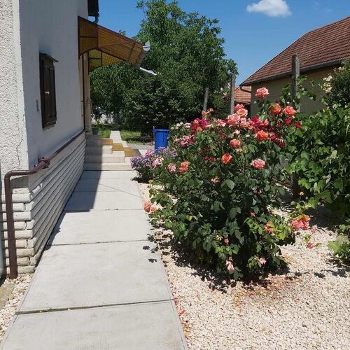 Szitakötő Apartman Gyula