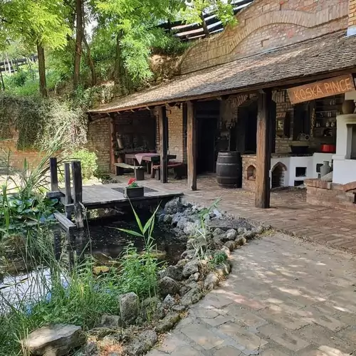 Neptun Porta és Vendégház Berkesd 009 kép