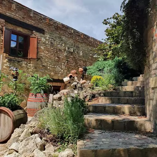 Neptun Porta és Vendégház Berkesd 012 kép