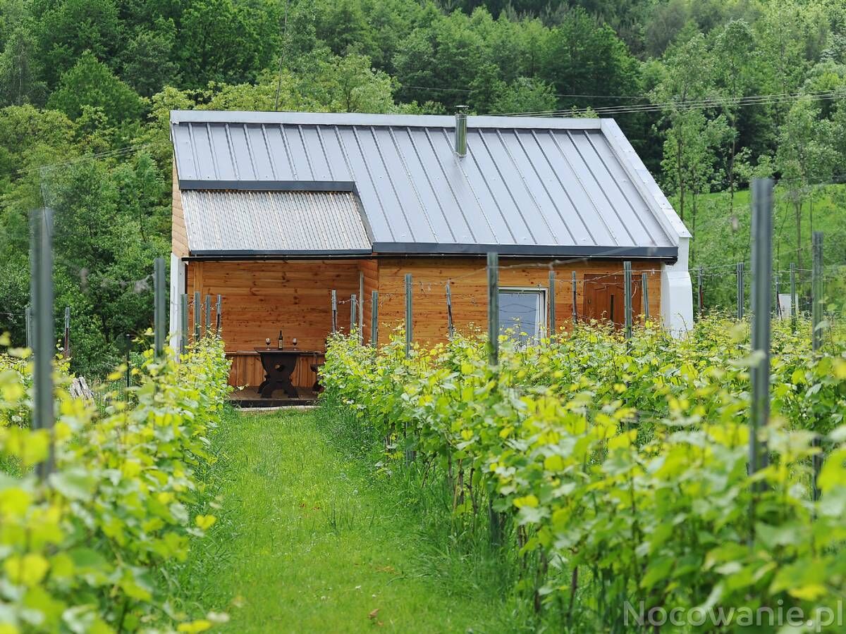 Agroturystyka i Winnica Granice Zgłobień, Rzeszów