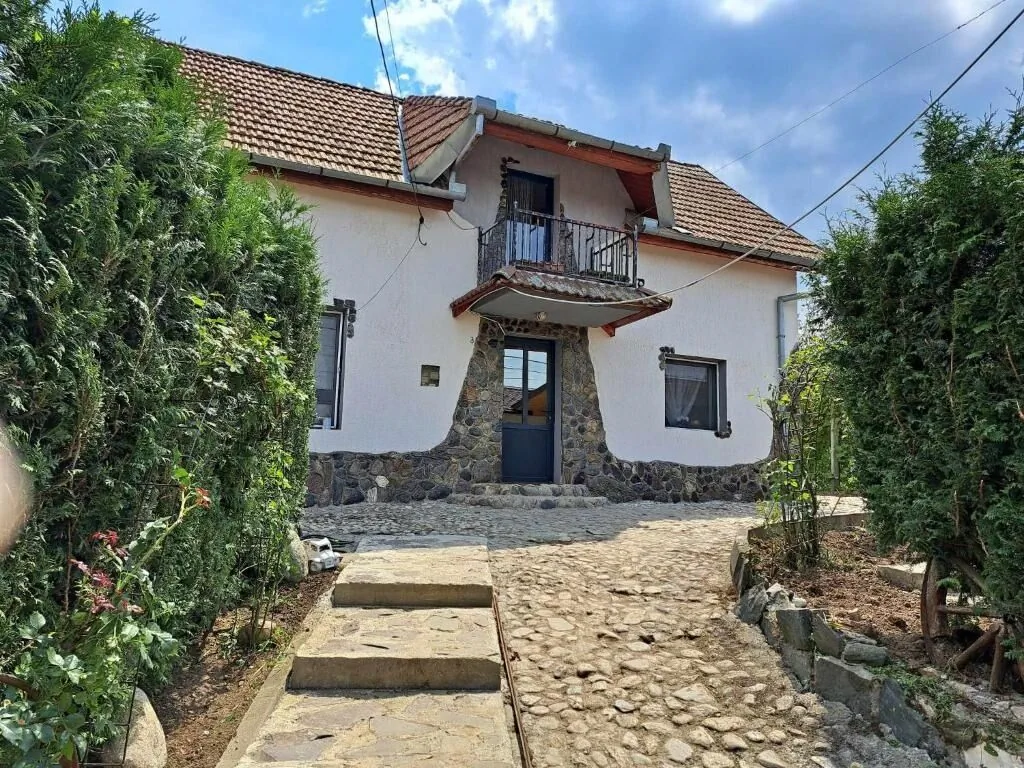 Villa Luiza Șura Mare