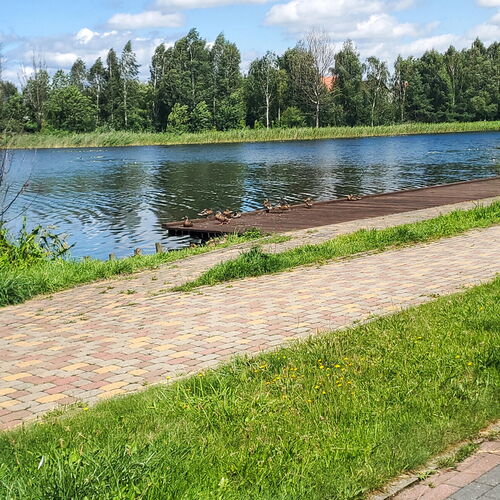 Apartman Iława - PMA931