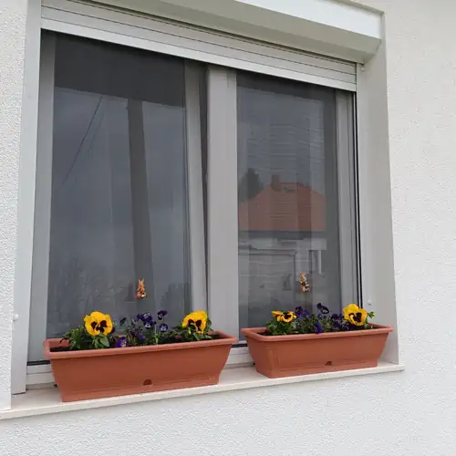 Borz Apartman Borzavár 024 kép