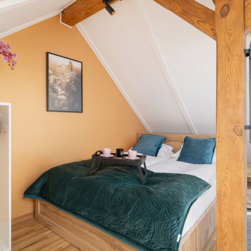 Pl. Bawół 6 | Apartament z klimatyzacją | Parking