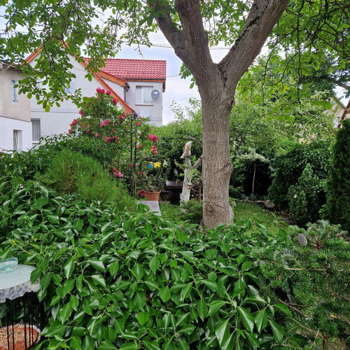 Pokoje  Międzyzdroje 