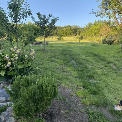 Erika Apartman Öreghegy 018 kép