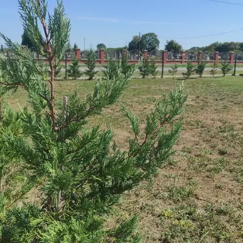 Szent Márton Vendégház és Apartmanház Felsőszentmárton 026 kép