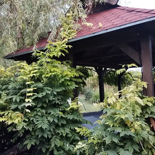 Kiskanális Vendégház Kunpeszér 011 kép