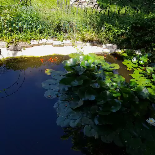 Aranyhal Vendégház Balatonfőkajár 006 kép