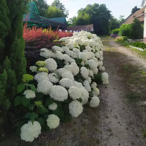 KoSza Vendégház Karakó 009 kép