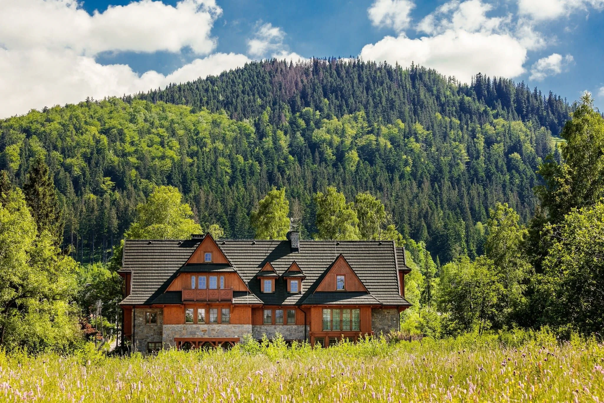 Jaszczurówka Bory 4A/A6^