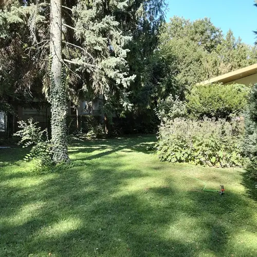 előkert