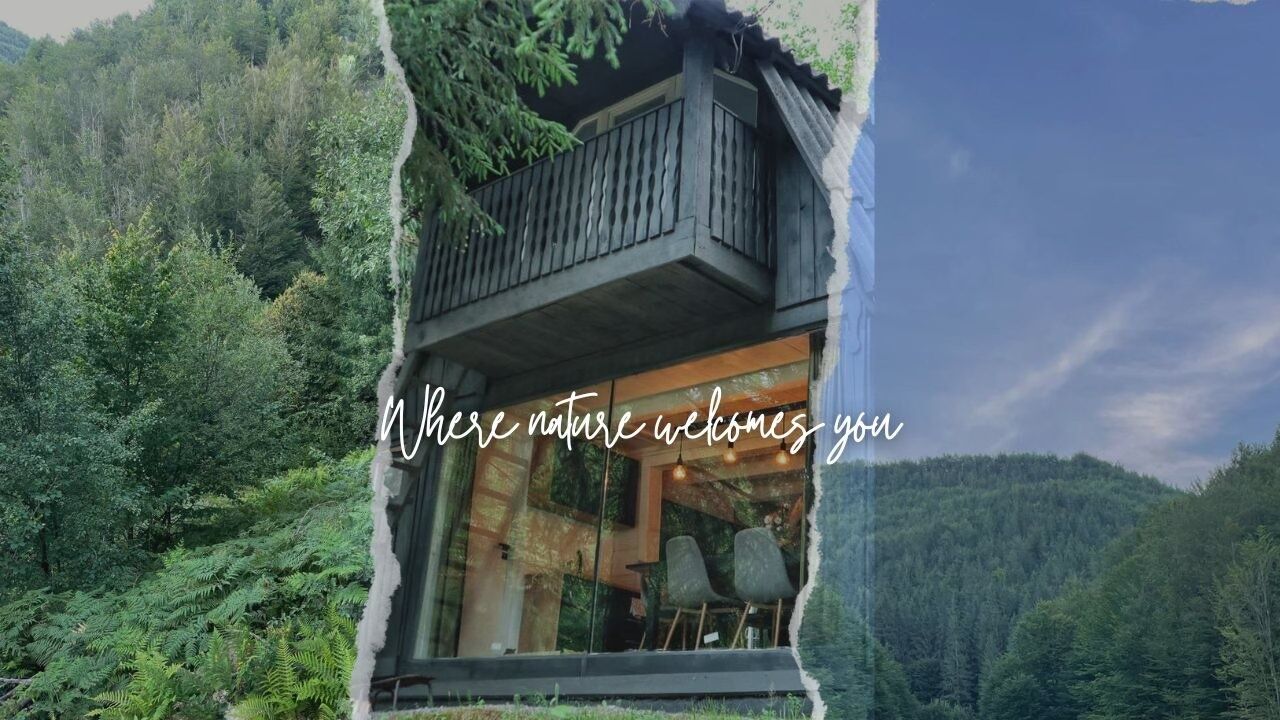 Casa de vacanță Sturzul Negru Munteni