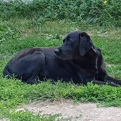 Zsóka Mama Kuckója Mátraderecske 029 kép