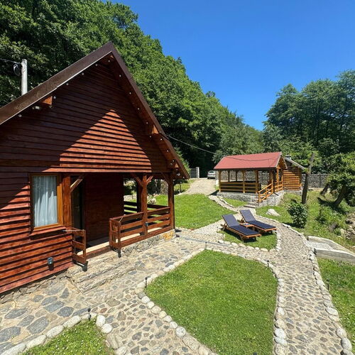 Woods Retreat Clopotiva