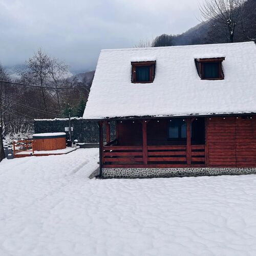 Woods Retreat Clopotiva