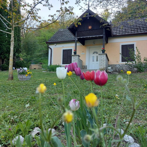 Szallas.hu
