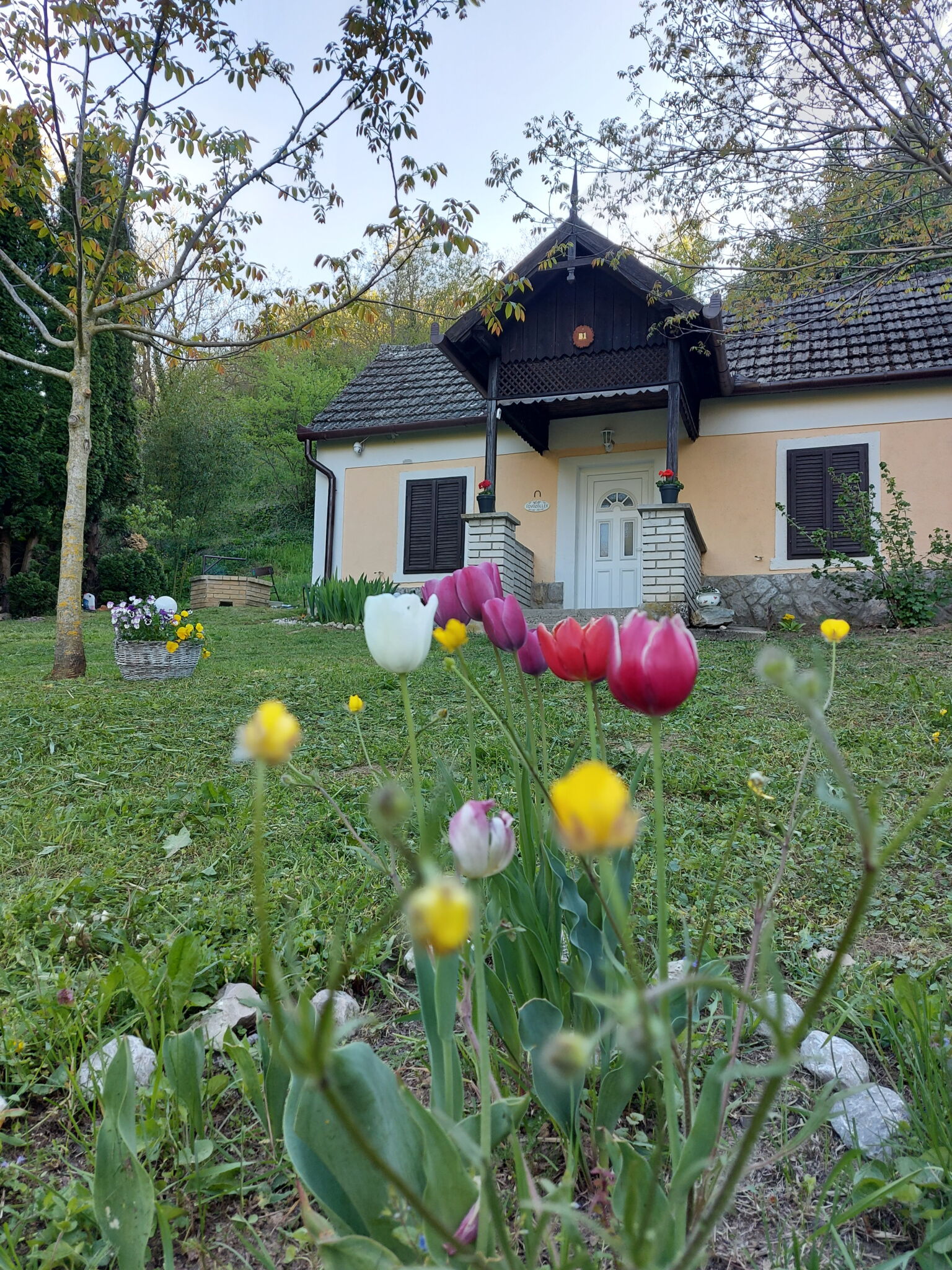Bíbor Erdei Vendegház Kaposkeresztúr