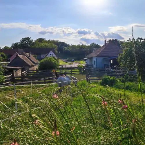 Ambrus Vendégház Izmény 014 kép