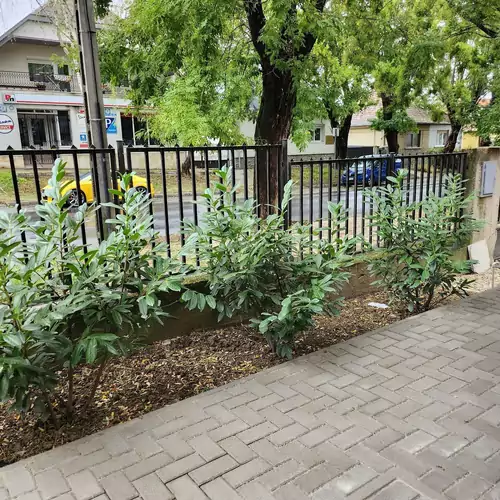 Eszti Apartment Keszthely 008 kép