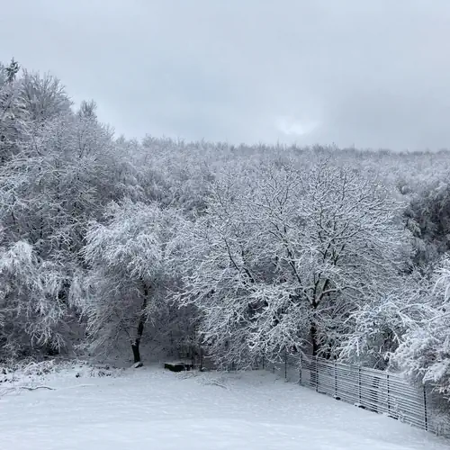 Villa Negra Vendégház Parádsasvár 004 kép