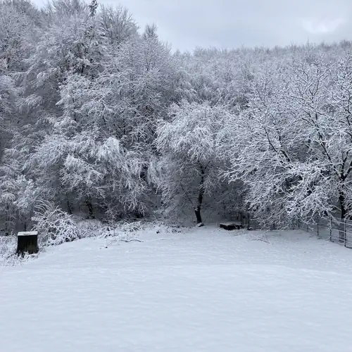 Villa Negra Vendégház Parádsasvár 005 kép