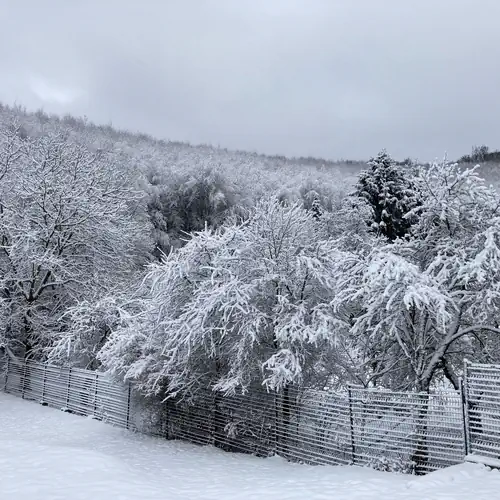 Villa Negra Vendégház Parádsasvár 006 kép