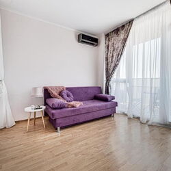 ARI Purple Studio Arad