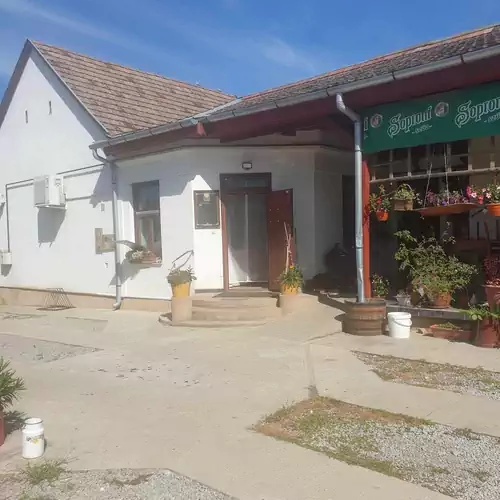 Hörpintő Üdülőház Nagypeterd 003 kép