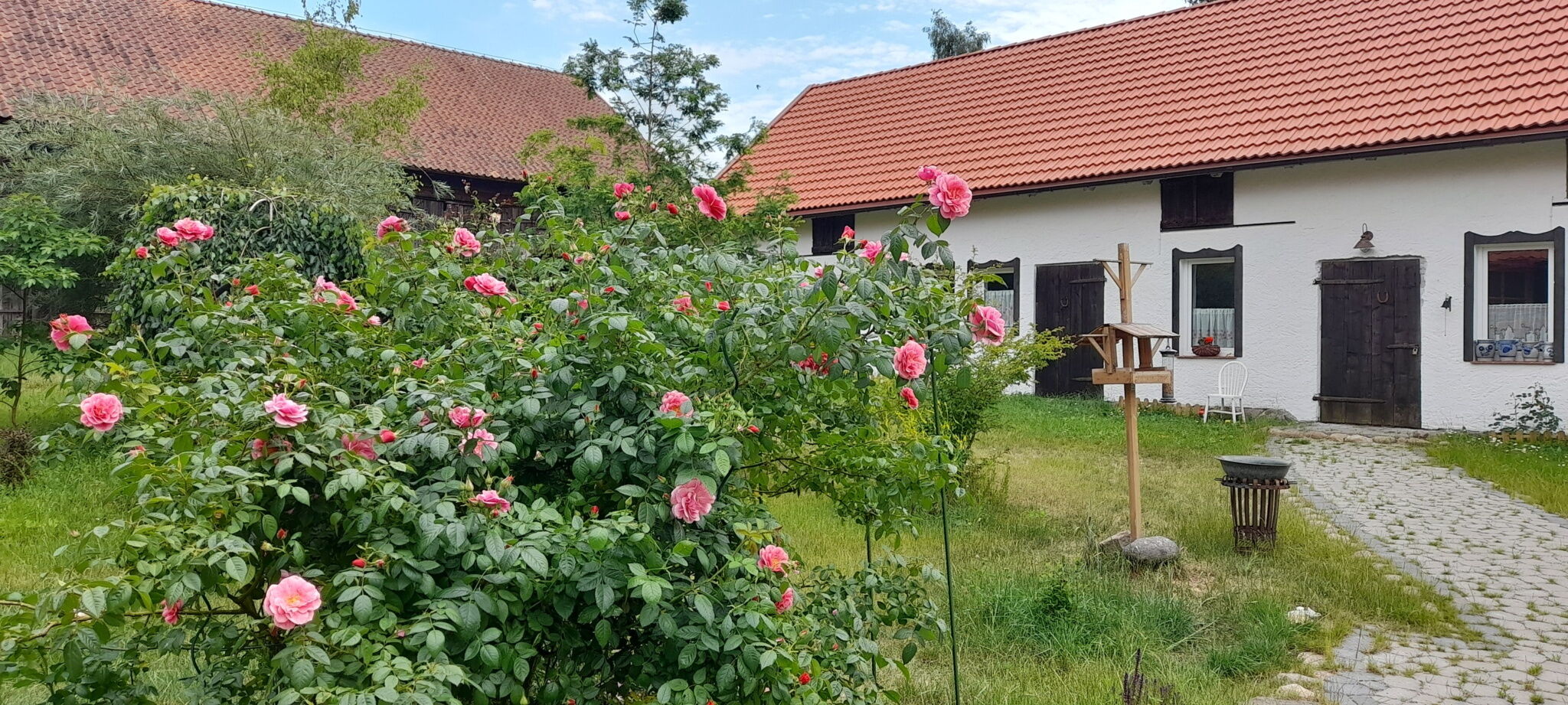 Apartament Ostoja Kamionki