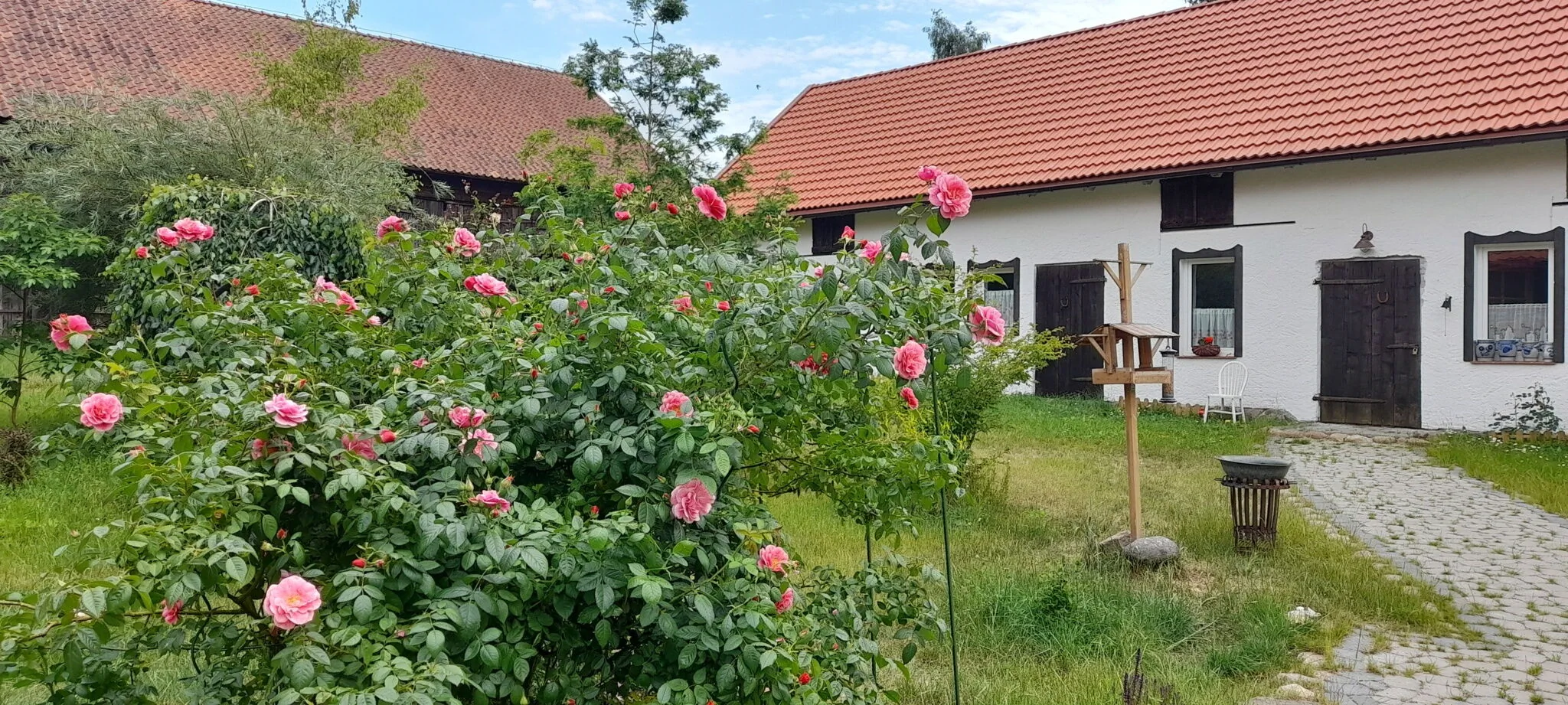 Apartament Ostoja Kamionki