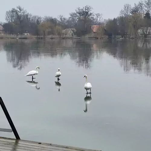 Diegó Vendégházak Szigetbecse 038 kép