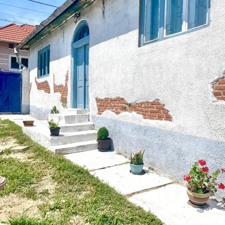 Blue Cottage Șpring