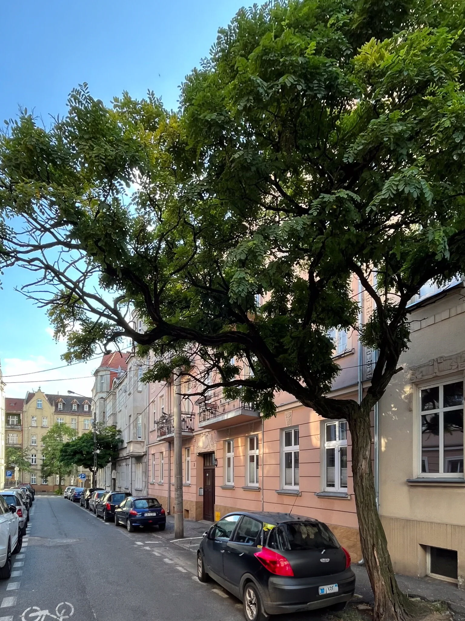 Apartament Długosza 3 Bydgoszcz