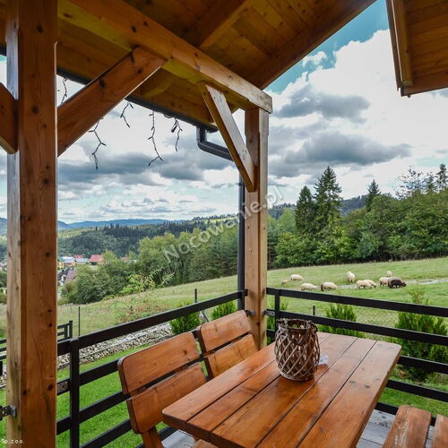 Borowikowe Zacisze Falsztyn, Szczawnica