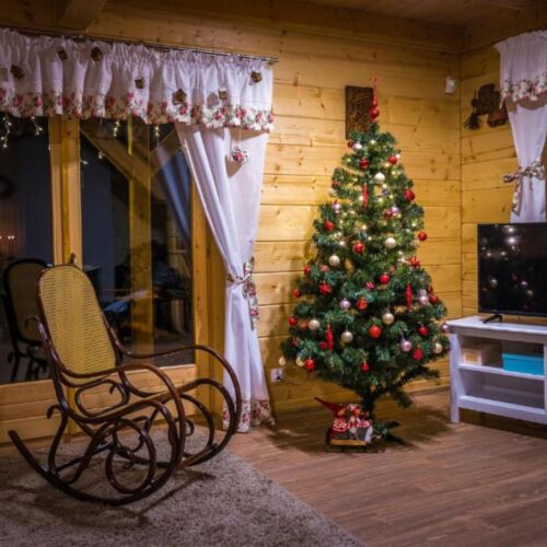 Borowikowe Zacisze Falsztyn, Szczawnica