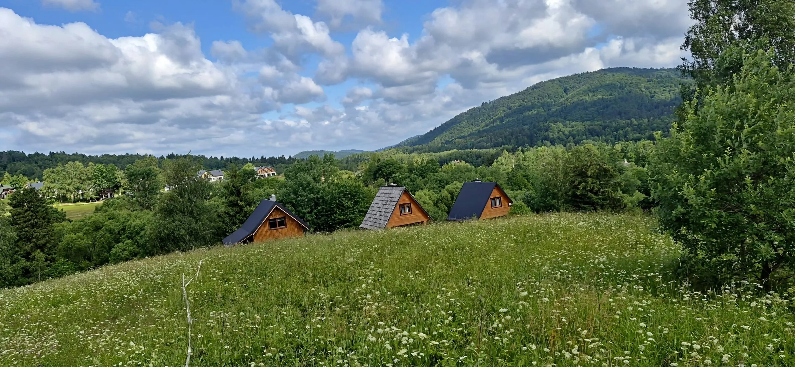 DOMKI OBERTYNY STRZEBOWISKA