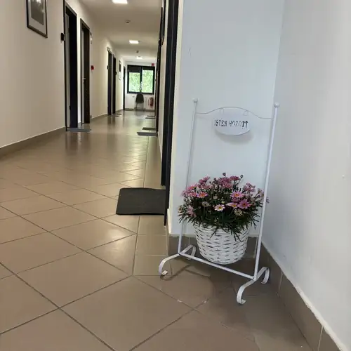Vitrin Panzió Nagymaro 006 kép