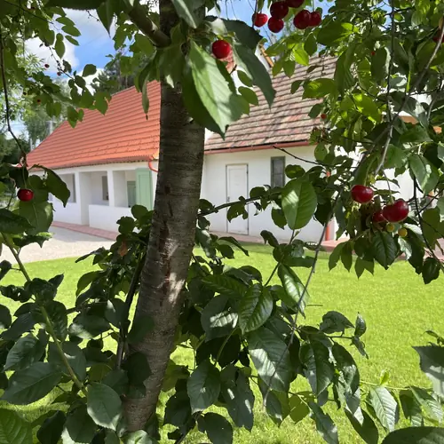 Fenyőudvar Vend&eacute;gh&aacute;z Mocsa