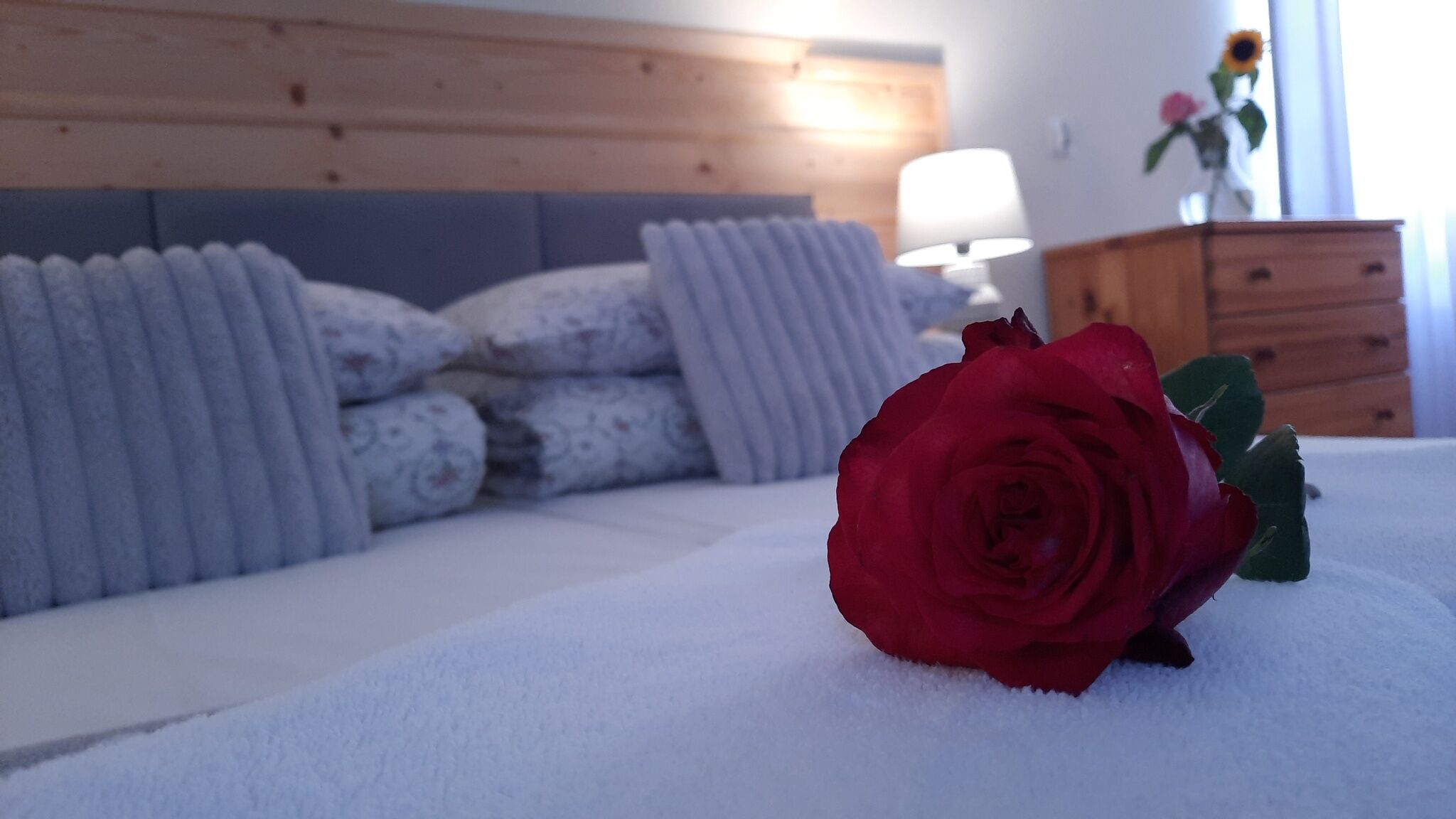 Ambrozja Białka Tatrzańska