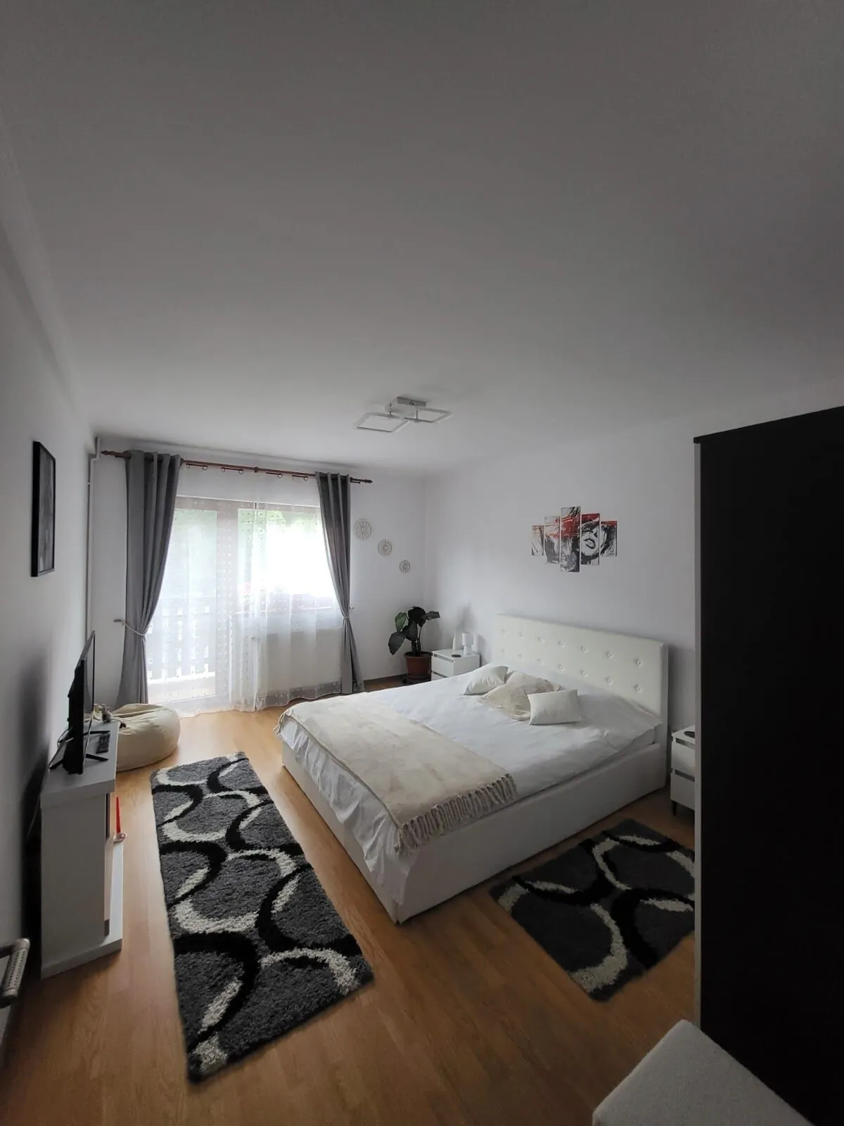 camera alba
