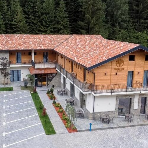 Hotel Ina Borșa